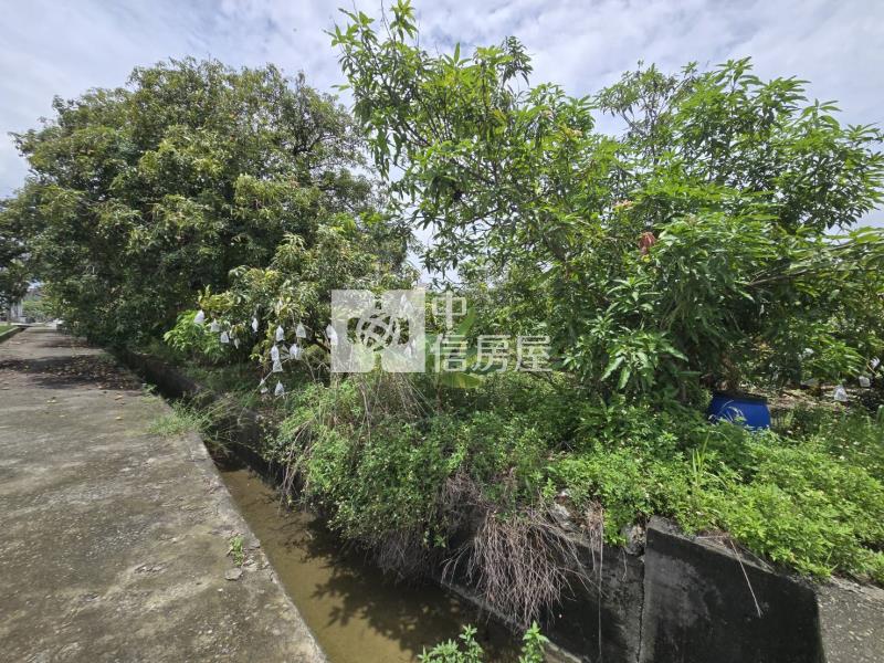 岡山超值臨路農地房屋室內格局與周邊環境