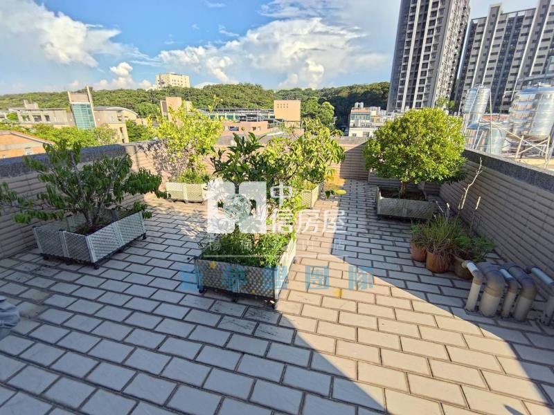 【新夢想】埔心空中花園2房(買五樓送頂樓綠境)房屋室內格局與周邊環境