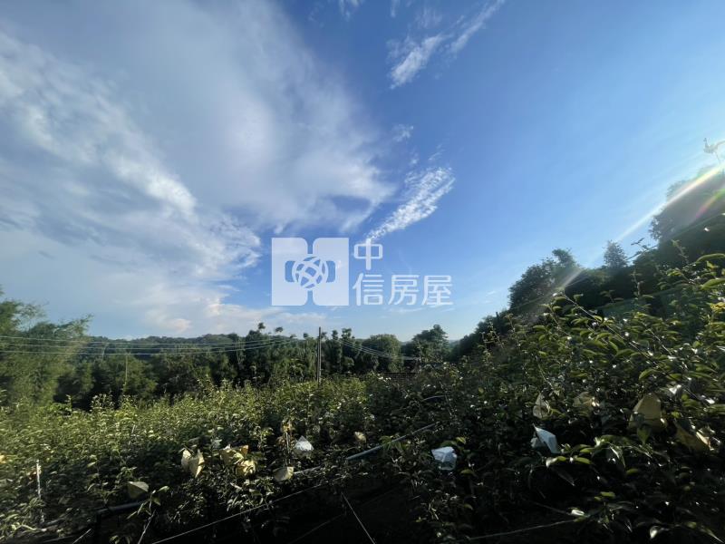 新竹新埔投資置產休閒農地B2房屋室內格局與周邊環境