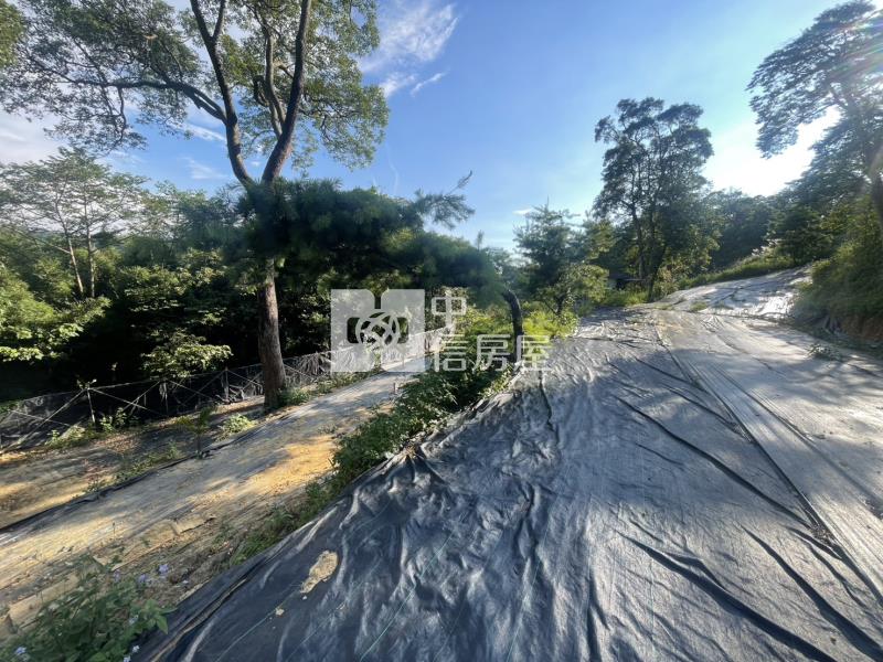 新竹新埔投資置產休閒農地B2房屋室內格局與周邊環境