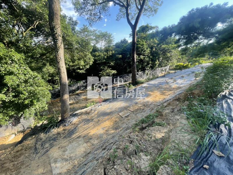 新竹新埔投資置產休閒農地B2房屋室內格局與周邊環境