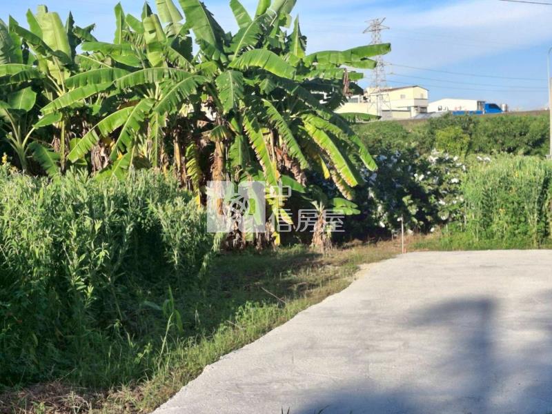 近虎山休閒增值都內農地(B)房屋室內格局與周邊環境