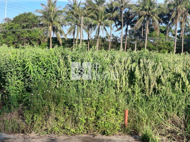 近虎山休閒增值都內農地(B)房屋室內格局與周邊環境