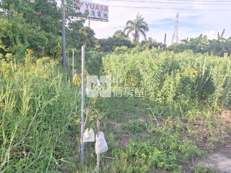 近虎山休閒增值都內農地(B)房屋室內格局與周邊環境