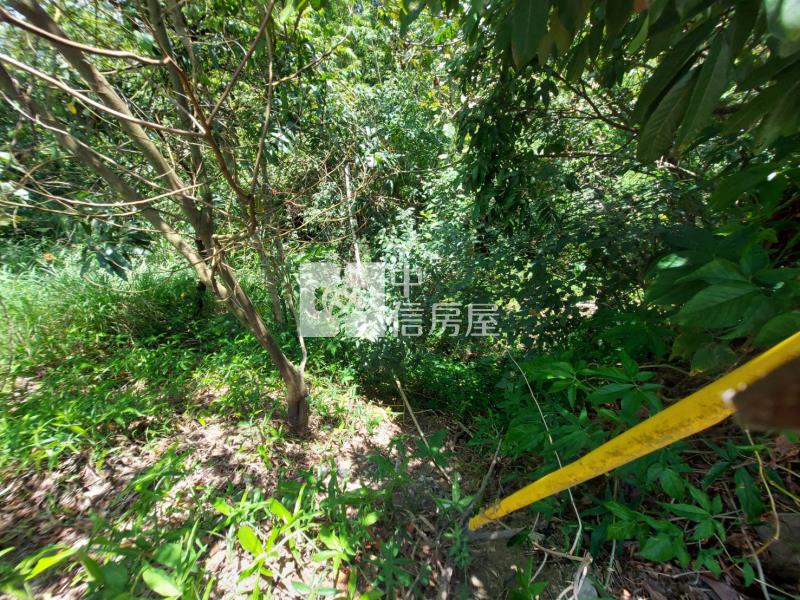 玉井546坪丙種建地-好山好水好地方房屋室內格局與周邊環境