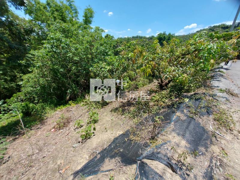 玉井546坪丙種建地-好山好水好地方房屋室內格局與周邊環境