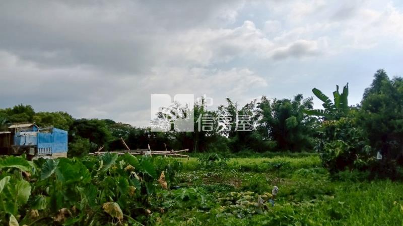 斗六光復路一般農業區農地房屋室內格局與周邊環境