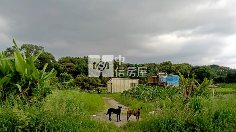 斗六光復路一般農業區農地房屋室內格局與周邊環境