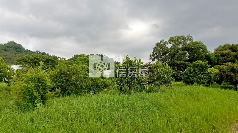斗六光復路一般農業區農地房屋室內格局與周邊環境