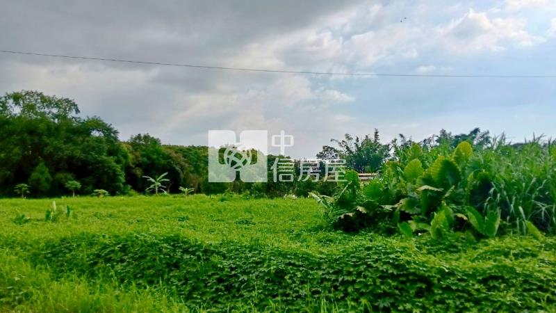 斗六光復路一般農業區農地房屋室內格局與周邊環境
