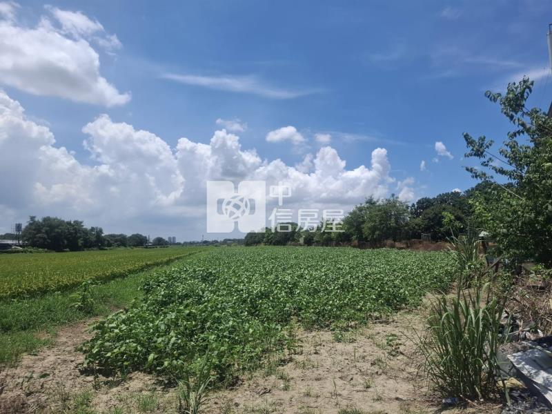 善化區近南科超值農地房屋室內格局與周邊環境