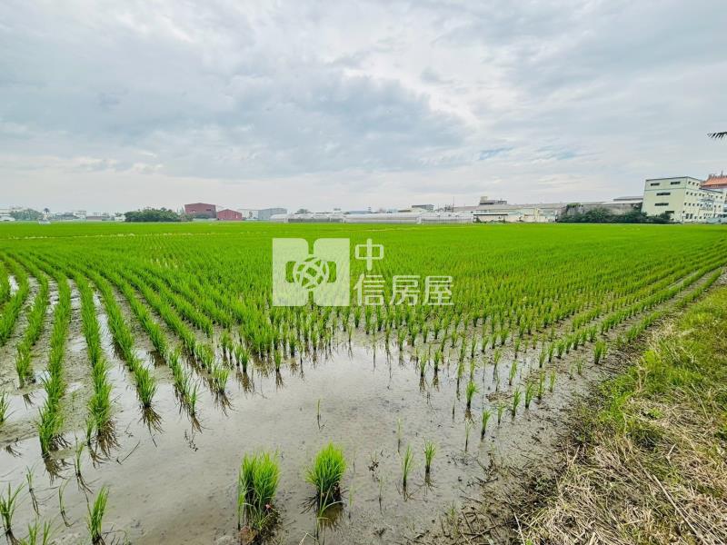 嘉北區段徵收農地房屋室內格局與周邊環境