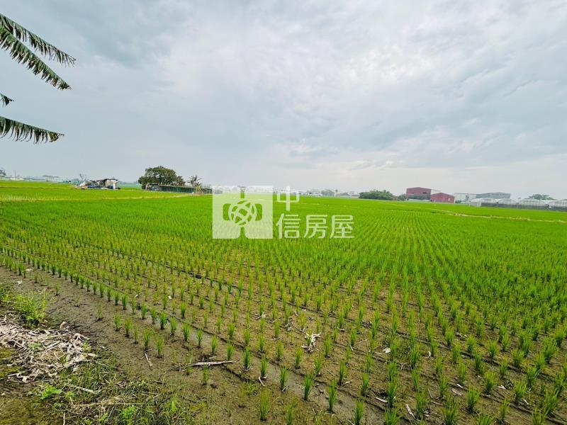 嘉北區段徵收農地房屋室內格局與周邊環境