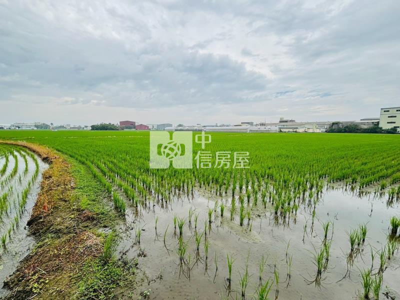 嘉北區段徵收農地房屋室內格局與周邊環境