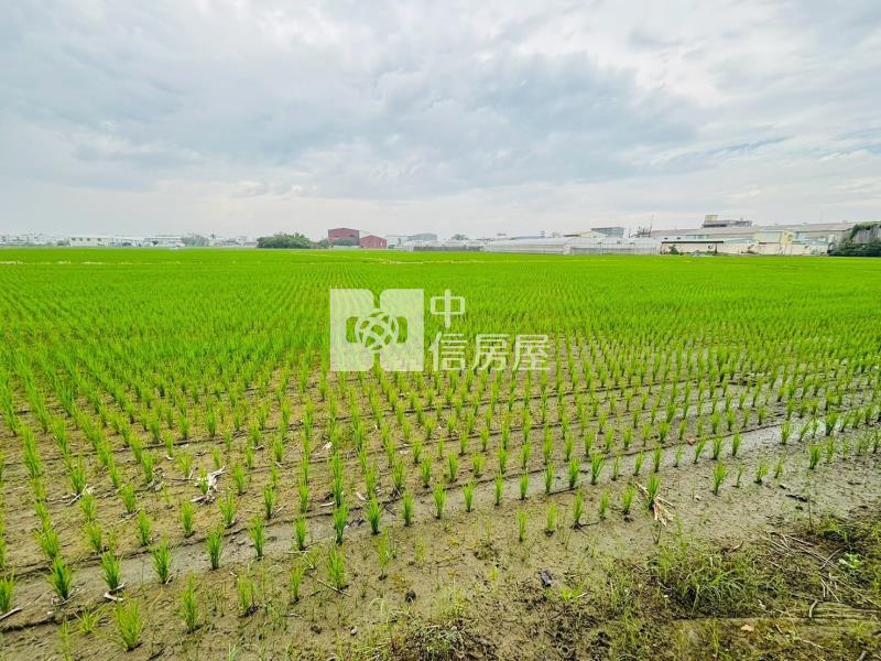 嘉北區段徵收農地房屋室內格局與周邊環境