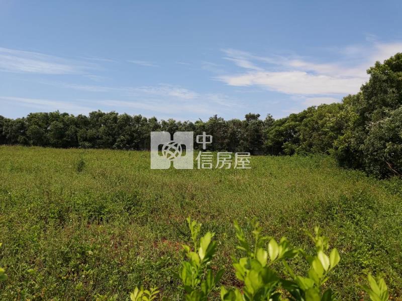 1H48新屋農地房屋室內格局與周邊環境