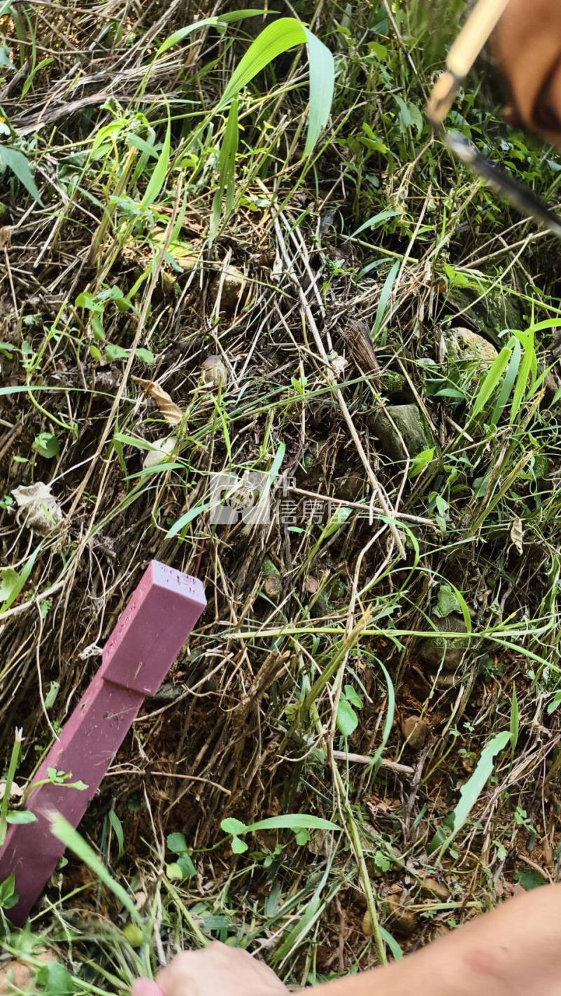 桃米林地房屋室內格局與周邊環境