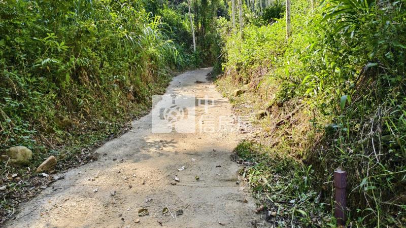 桃米林地房屋室內格局與周邊環境