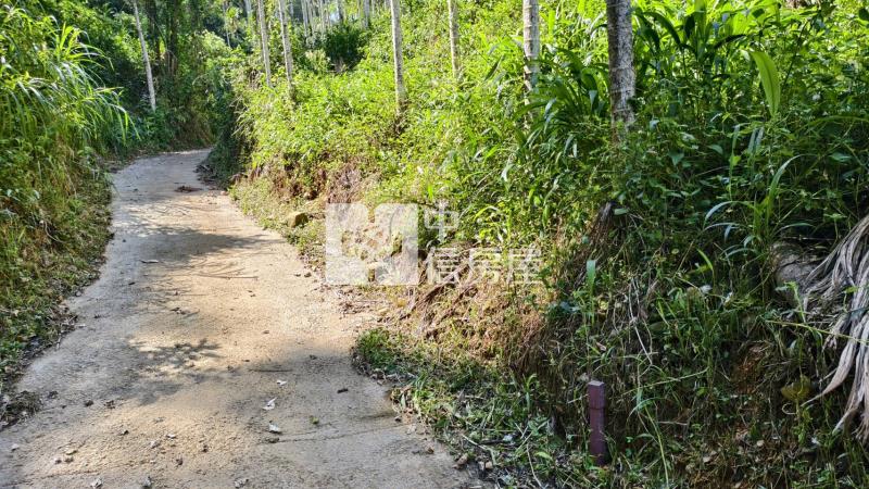 桃米林地房屋室內格局與周邊環境