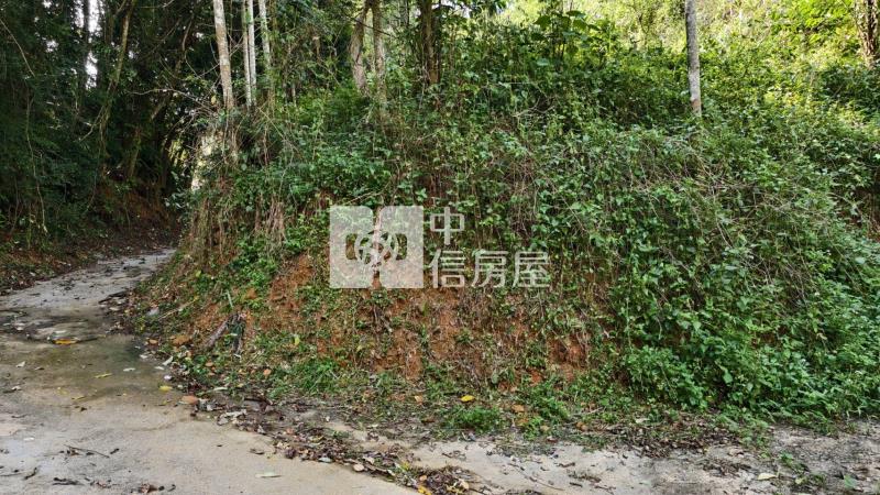 桃米林地房屋室內格局與周邊環境