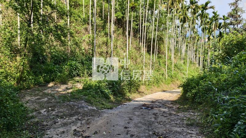 桃米林地房屋室內格局與周邊環境