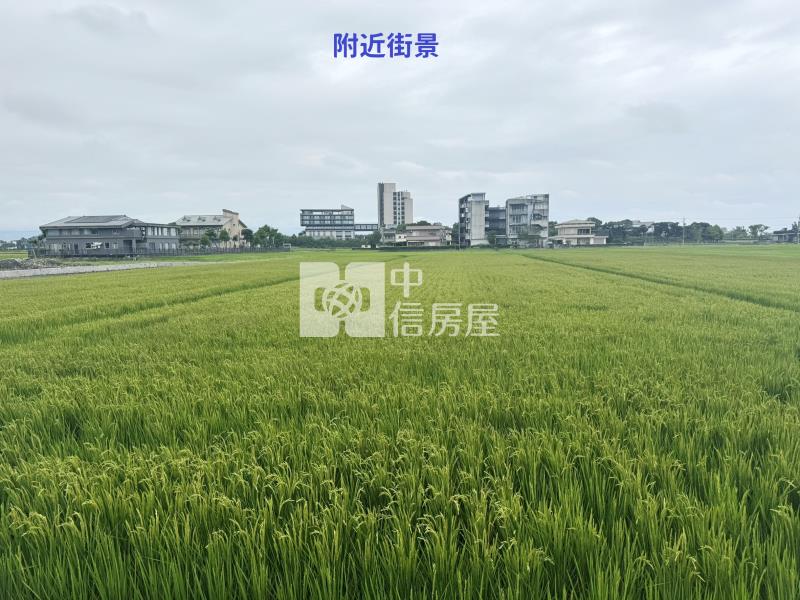 (獨家專賣)006-五結臨路大面寬農地【中信王牌】房屋室內格局與周邊環境