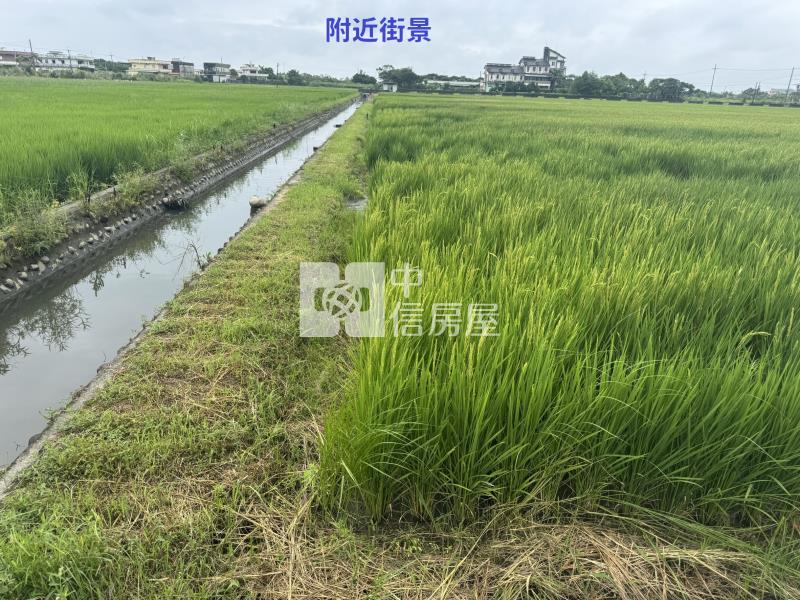 (獨家專賣)006-五結臨路大面寬農地【中信王牌】房屋室內格局與周邊環境