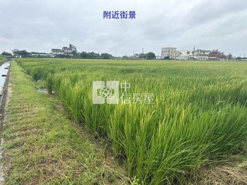 (獨家專賣)006-五結臨路大面寬農地【中信王牌】房屋室內格局與周邊環境