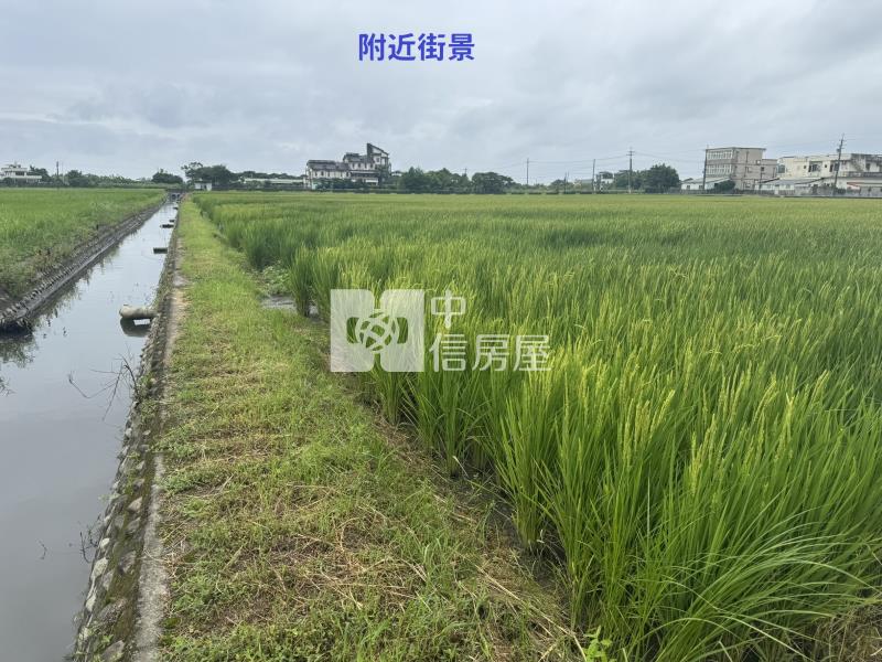 (獨家專賣)006-五結臨路大面寬農地【中信王牌】房屋室內格局與周邊環境