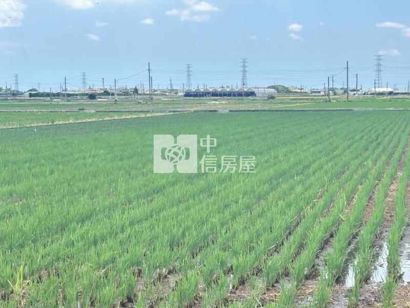 秒殺低總價優質田園農地A房屋室內格局與周邊環境