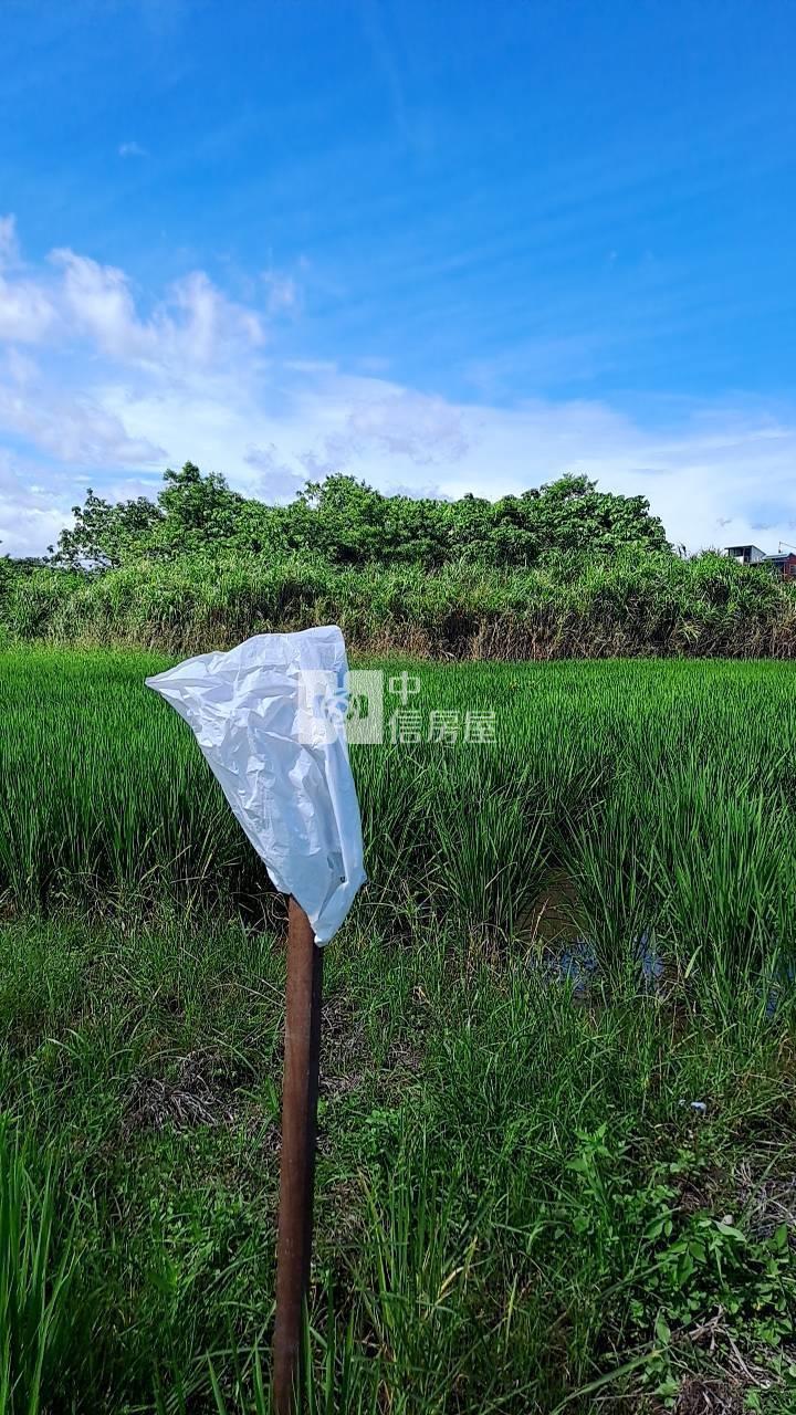 大溪便宜美農地房屋室內格局與周邊環境