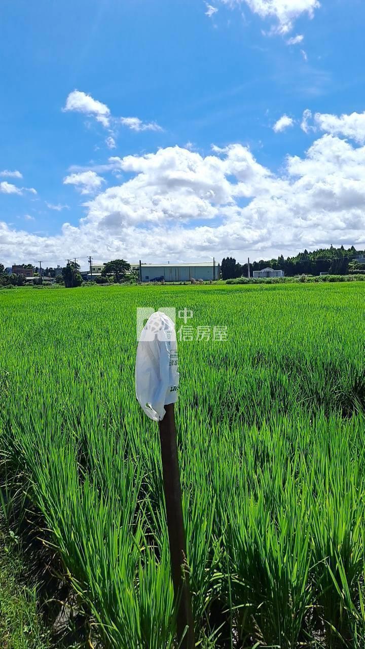 大溪便宜美農地房屋室內格局與周邊環境