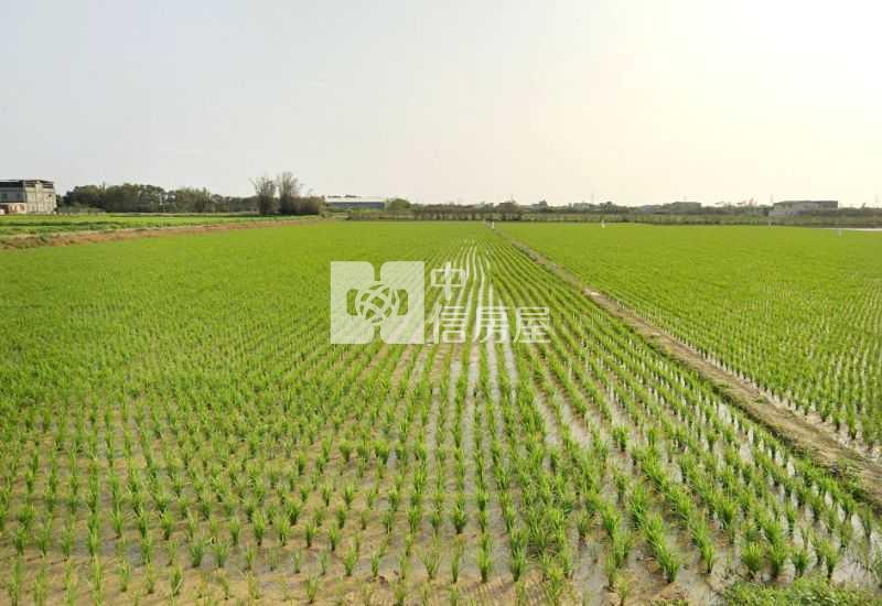 新屋景碩【清華高中】6米路優質美農地620坪房屋室內格局與周邊環境