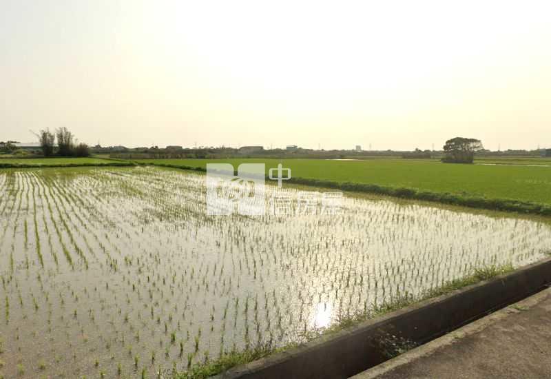 新屋景碩【清華高中】6米路優質美農地620坪房屋室內格局與周邊環境