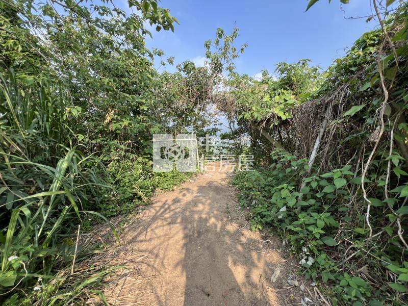 新社月湖段超值坪坦農地房屋室內格局與周邊環境