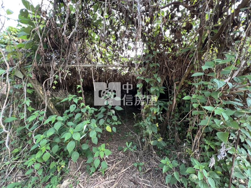 新社月湖段超值坪坦農地房屋室內格局與周邊環境