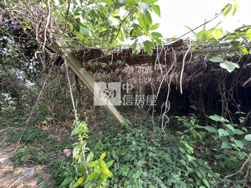 新社月湖段超值坪坦農地房屋室內格局與周邊環境