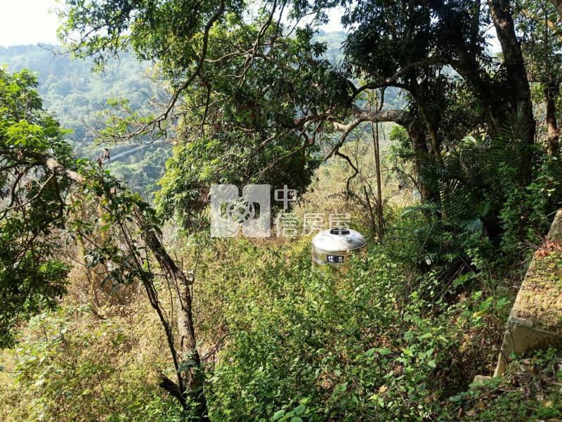 北屯都計內社區型低於行情休閒農地房屋室內格局與周邊環境