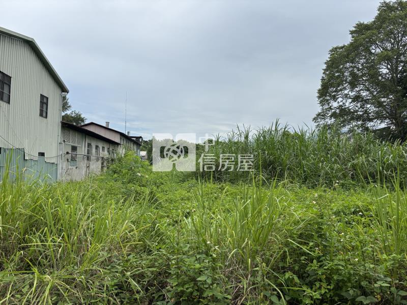 竹圍都計田房屋室內格局與周邊環境