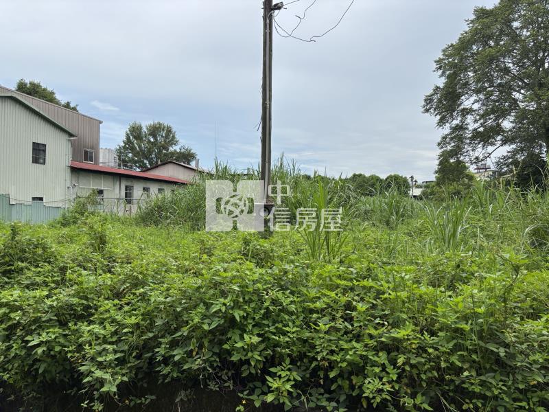 竹圍都計田房屋室內格局與周邊環境