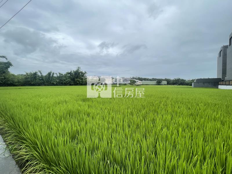 【新世紀】晶麒莊園都內農房屋室內格局與周邊環境