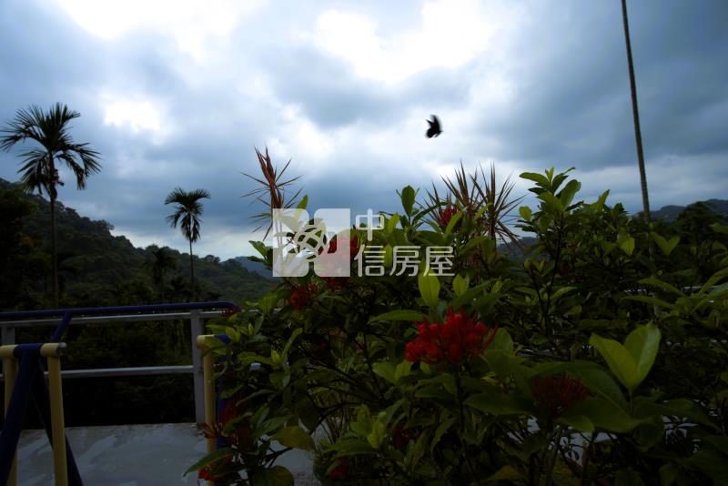 @太平千坪景觀農地@有兩層大平台.遠眺西海岸.無敵景觀.房屋室內格局與周邊環境