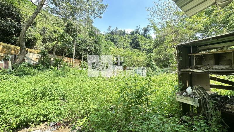 太平區休閒步道景觀農場(專)房屋室內格局與周邊環境