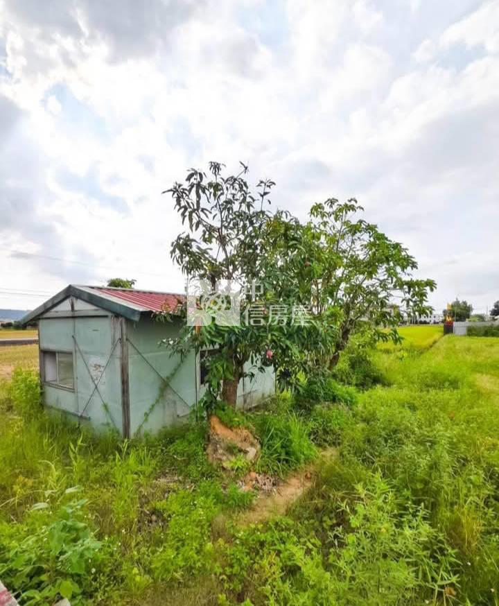 草屯雙面臨路農舍農地房屋室內格局與周邊環境