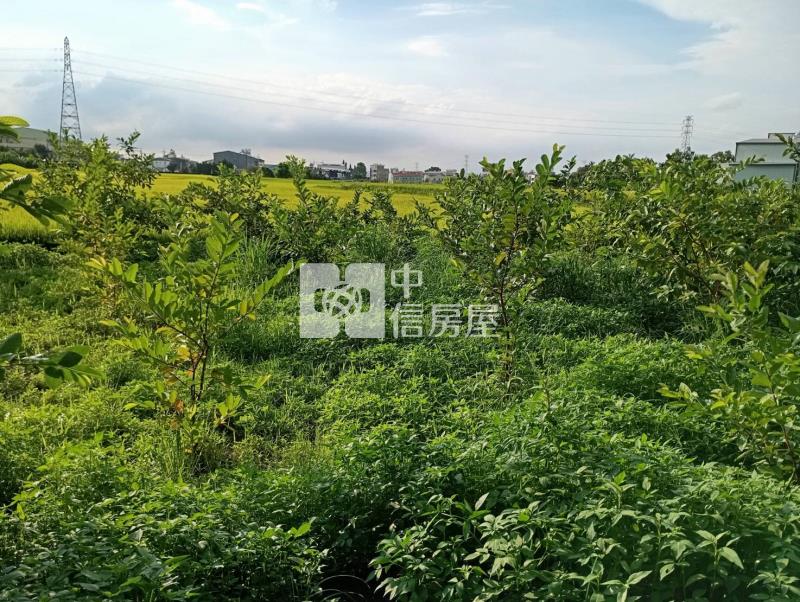 霧峰近國3節稅小農地房屋室內格局與周邊環境