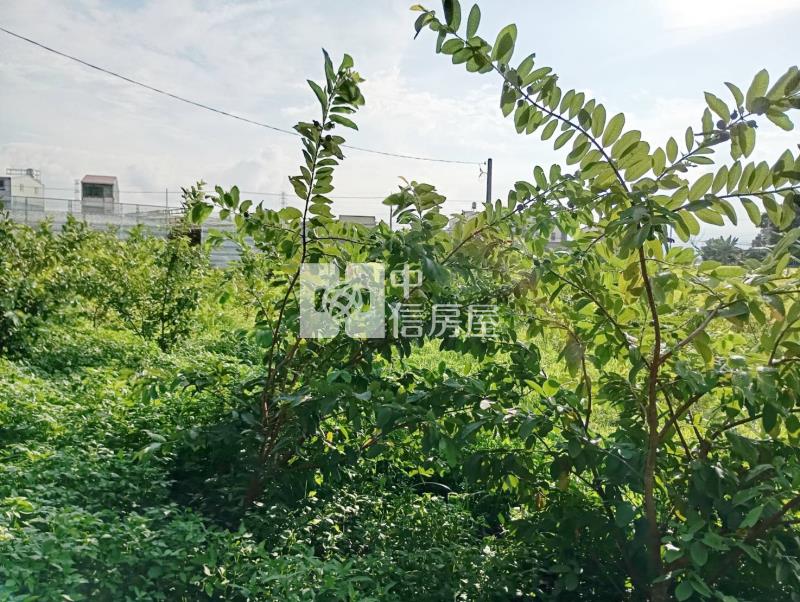 霧峰近國3節稅小農地房屋室內格局與周邊環境