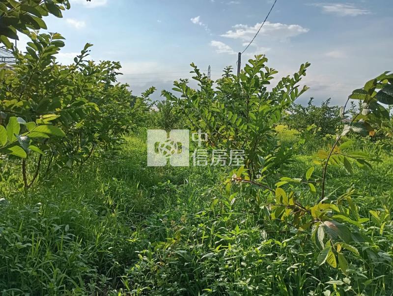 霧峰近國3節稅小農地房屋室內格局與周邊環境