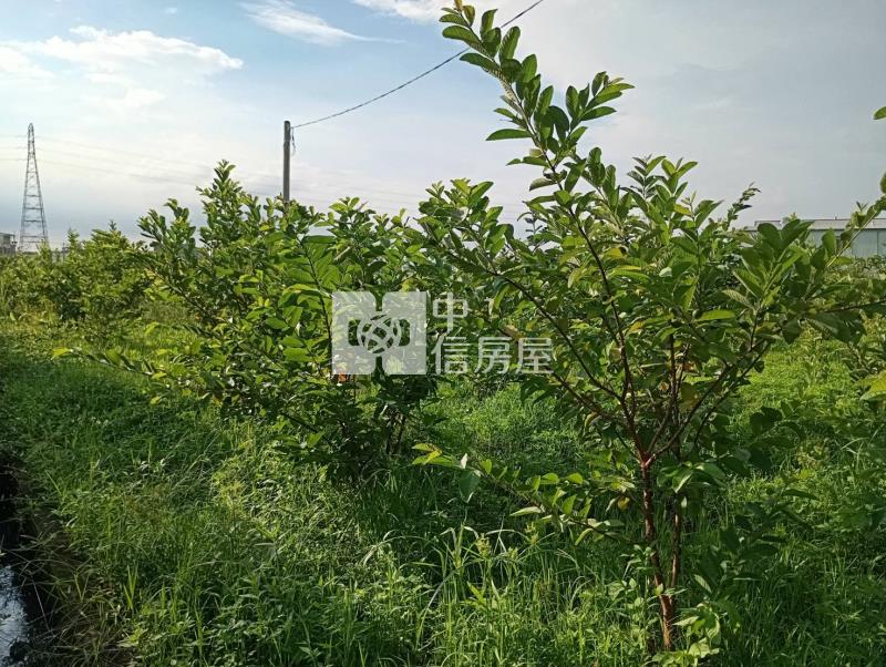 霧峰近國3節稅小農地房屋室內格局與周邊環境