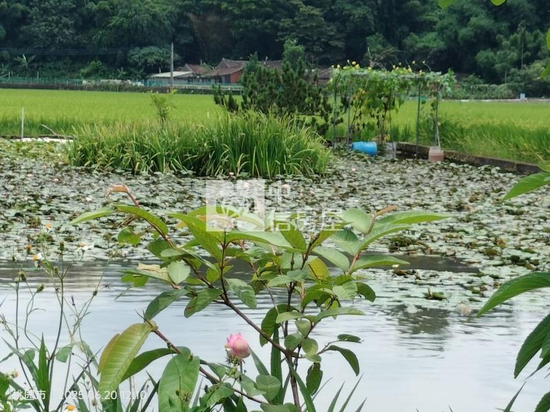 大溪月眉花海特農房屋室內格局與周邊環境