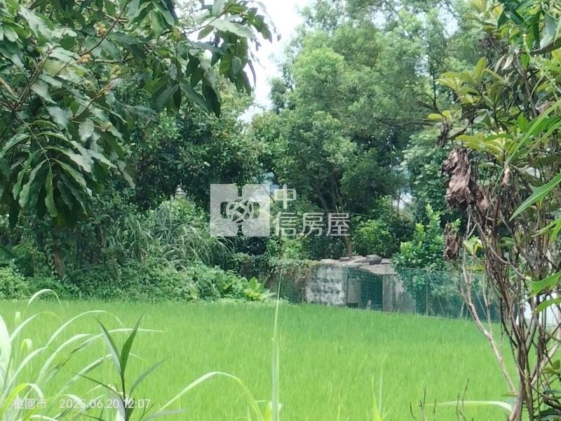 大溪月眉花海特農房屋室內格局與周邊環境